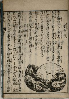 画像の拡大