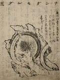 解説・書誌データ