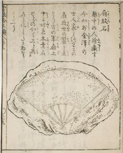 画像の拡大
